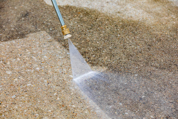 Animal Enclosure Cleaning in Weed, CA