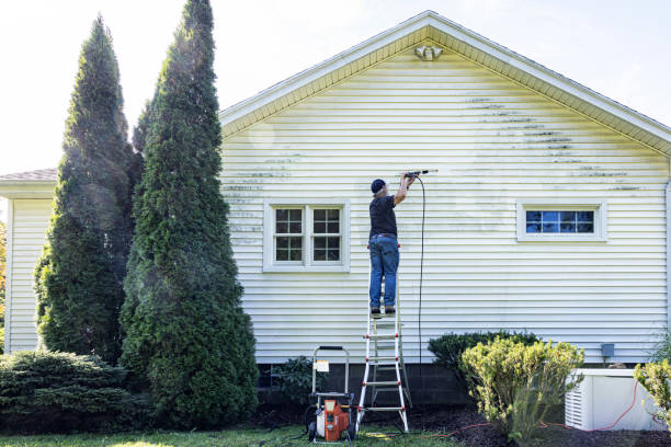 Best Roof Washing  in Weed, CA